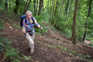 Aufstieg zum Anwandfelsen Steilaufstieg zum Anwandfelsen. Hier floss der Schweiß in Strömen. Wanderung vom Bahnhof Geislingen an der Steige über den Anwandfels und den Himmelsfels nach...