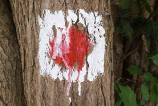 20130810_geislingen_071