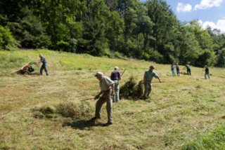 20130810_geislingen_075