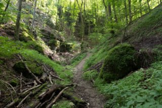 20130810_geislingen_082