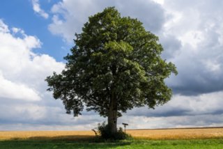 20130810_geislingen_094