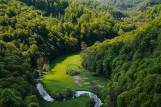 20080513_gr_lautertal_034