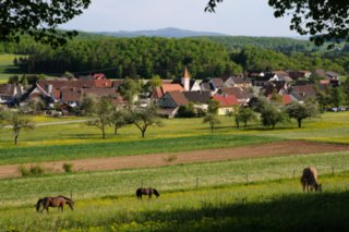 20080513_gr_lautertal_048