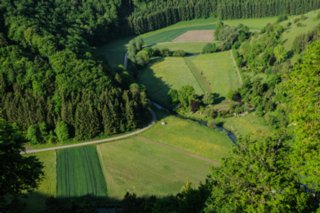 20100606_Grosses_Lautertal_024