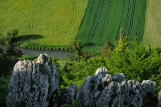 20100606_Grosses_Lautertal_073