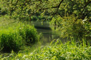 20100606_Grosses_Lautertal_094