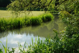 20100606_Grosses_Lautertal_098