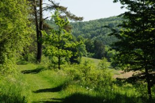 20100606_Grosses_Lautertal_133