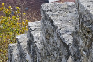 20101103_lautertal_030