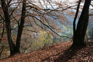 20101103_lautertal_062
