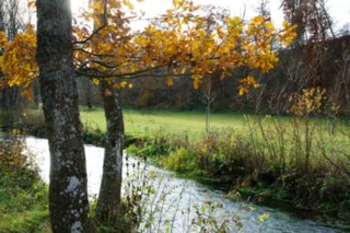 20101103_lautertal_202