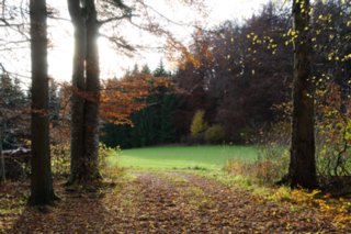 20101103_lautertal_235