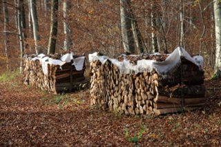 20101103_lautertal_243