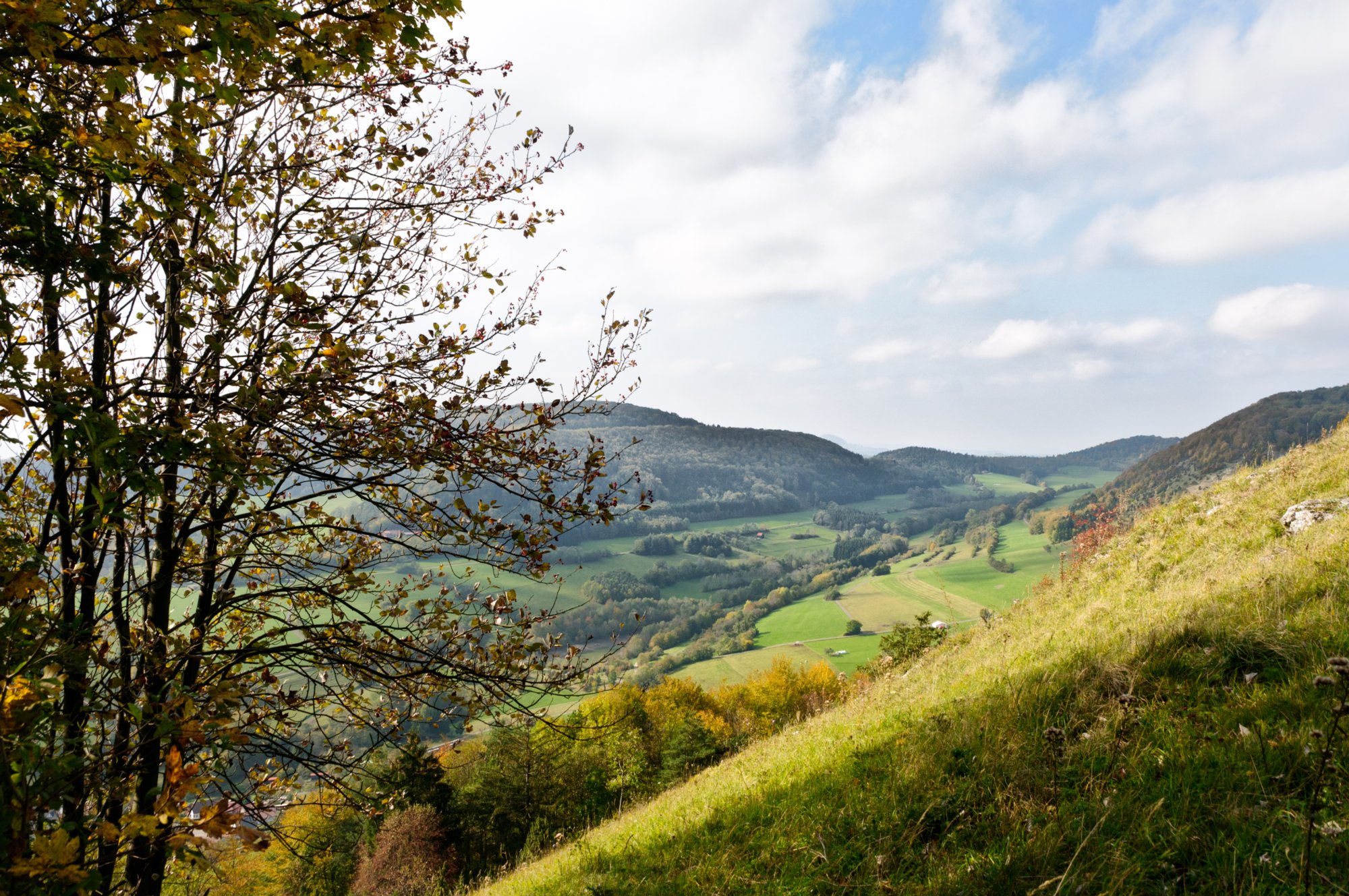 Auf dem Galgenberg Weg vom Feldkreuz zum Kalten Feld. Achtung: Mit dem Rücken zum Kreuz nach links halten und immer entlang der Hankante zum man zu einem Abstieg zum Sattel kommt. Kein markierter Weg! Wanderung von Nenningen über den Galgenberg zum Falten Feld. Von dort über die Reiterleskapelle zurück nach Nenningen.