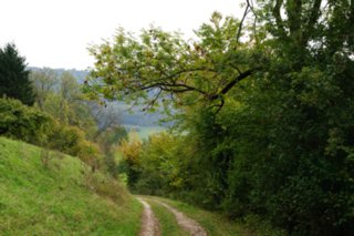 20111017_kaltes-feld_001