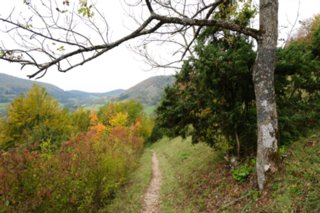 20111017_kaltes-feld_003