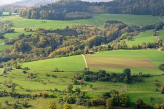 20111017_kaltes-feld_011-bearb