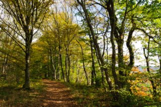 20111017_kaltes-feld_015-bearb
