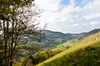20111017_kaltes-feld_016-bearb