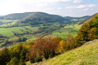 20111017_kaltes-feld_017-bearb