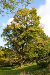 20111017_kaltes-feld_018
