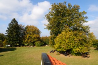 20111017_kaltes-feld_020