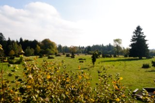 20111017_kaltes-feld_021-bearb