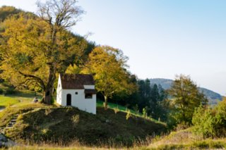 20111017_kaltes-feld_026-bearb