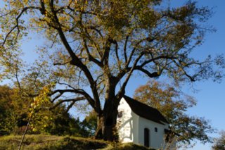 20111017_kaltes-feld_034