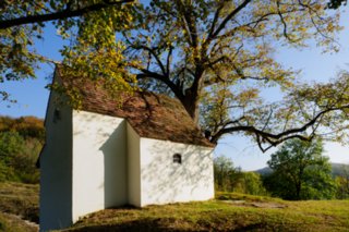 20111017_kaltes-feld_047-bearb
