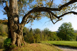 20111017_kaltes-feld_054-bearb