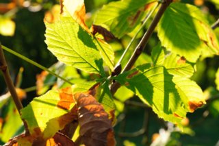 20111017_kaltes-feld_064