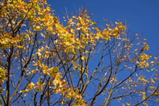 20131031_michelsberg_001