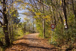 20131031_michelsberg_003