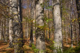 20131031_michelsberg_006