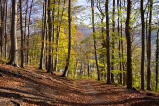 20131031_michelsberg_009