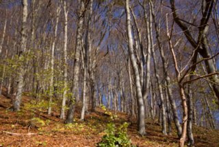 20131031_michelsberg_012