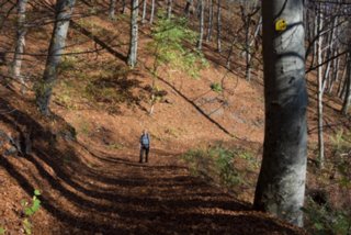 20131031_michelsberg_013