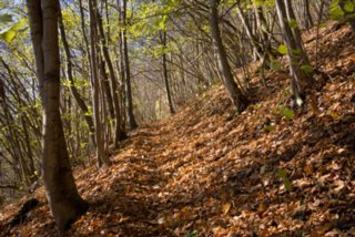 20131031_michelsberg_015