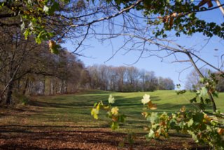20131031_michelsberg_029