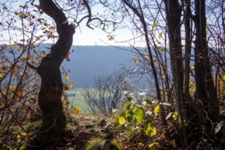 20131031_michelsberg_039