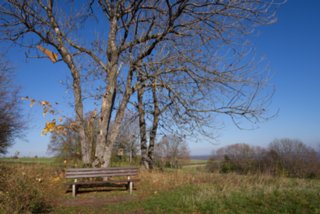 20131031_michelsberg_053