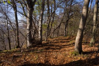 20131031_michelsberg_061