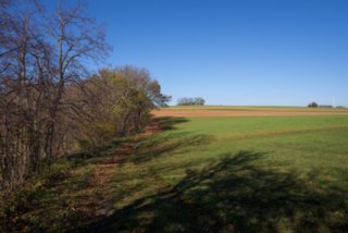 20131031_michelsberg_071