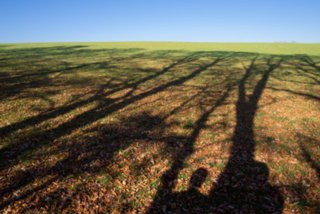 20131031_michelsberg_078