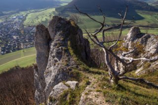 20131031_michelsberg_096