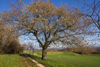 20131031_michelsberg_101