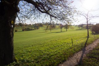 20131031_michelsberg_102