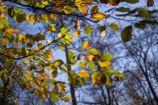 20131031_michelsberg_113