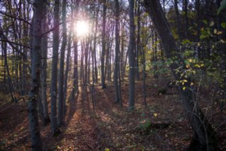 20131031_michelsberg_115